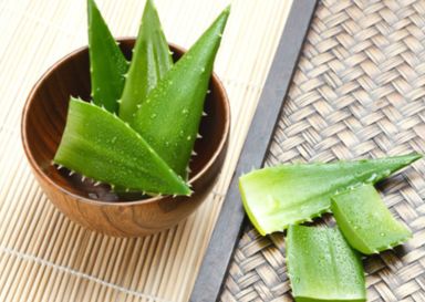 用芦荟怎样祛痘 揭秘用芦荟的方法